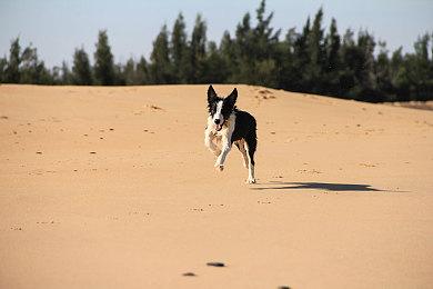 3DM速报：V社新掌机公布399刀起步 Epic本周喜加二